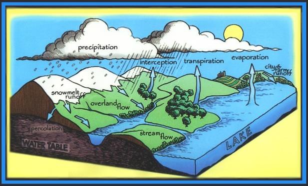 Great Lakes Ecosystem - The Great Lakes
